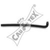 CAUTEX 015005 Radiator Hose